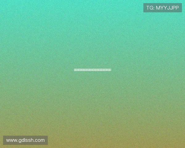 德甲联赛上座率分析及其对球队表现和观众文化的影响